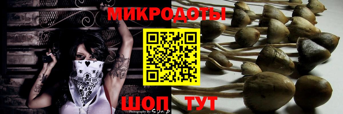 Лабинск  Псилоцибиновые грибы MAGIC MUSHROOMS  Вход с VPN 